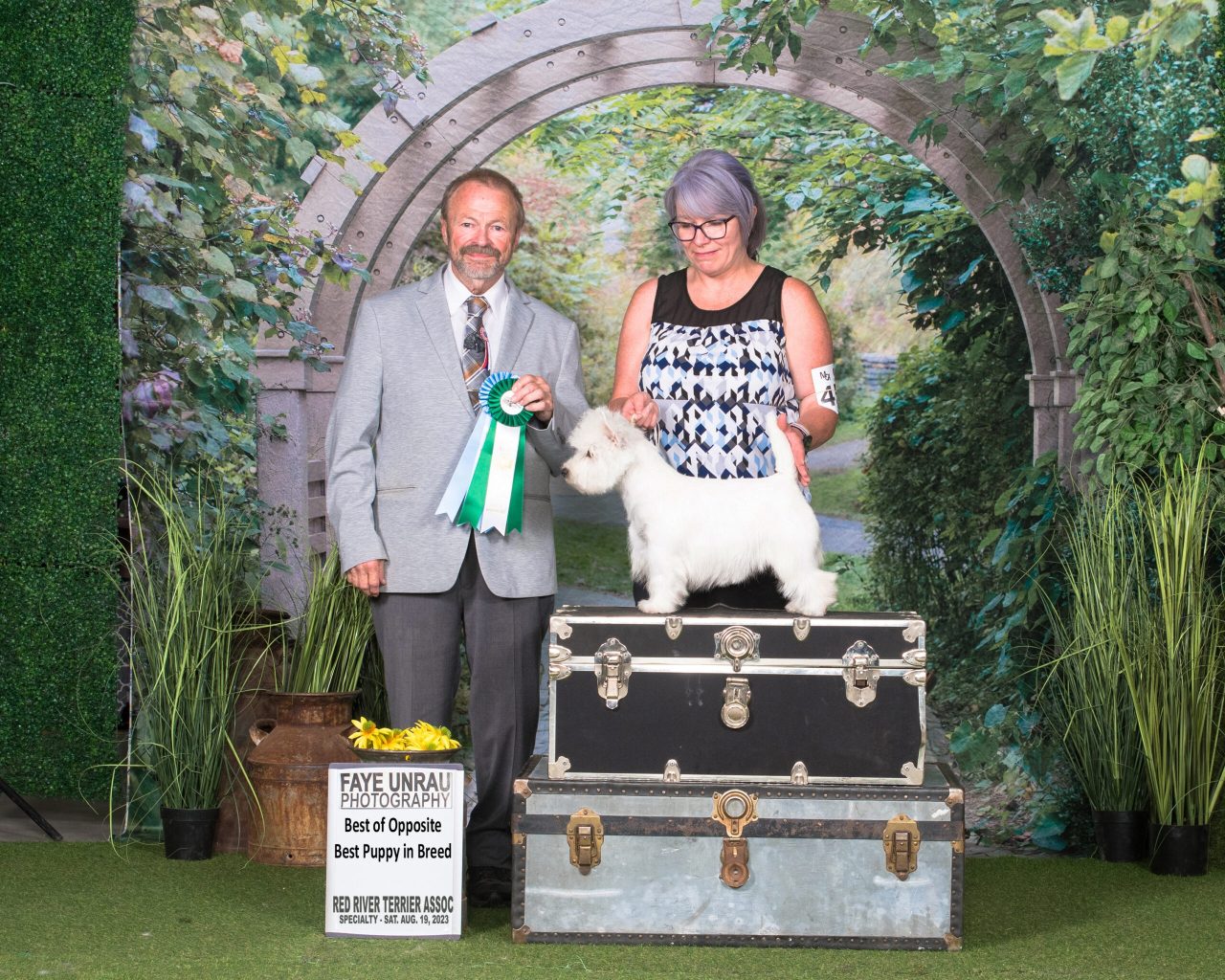 PYE 0000MCA 15434 copy